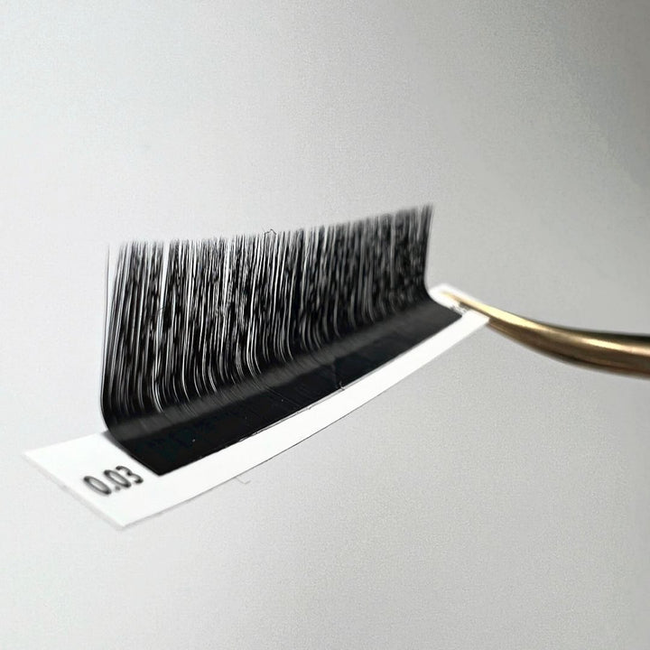 Premium Lashes 0.03 M Curl